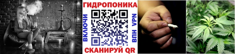 shop официальный сайт  Красавино  Бошки марихуана конопля 